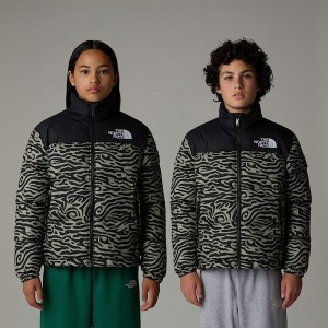 Kids' The North Face 1996 Retro Nuptse Jackets Grey | NF0A72J9O
