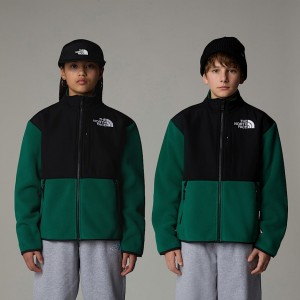 Kids' The North Face Denali Jackets Green | NF0A65L4U
