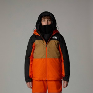 Kids' The North Face Freedom Insulated Jackets Orange | NF0A96T1P
