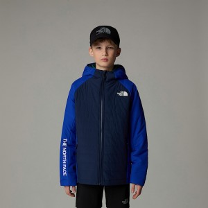 Kids' The North Face Never Stop Synthetic Jackets Blue | NF0A36O1O