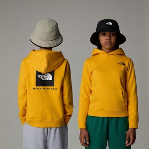 Kids' The North Face Redbox Hoodie Gold | NF0A09P4C