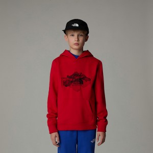 Kids' The North Face Topographic Hoodie Red | NF0A58I9F