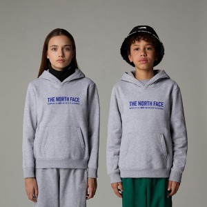 Kids' The North Face Varsity Graphic Relaxed Hoodie Grey | NF0A79S6K