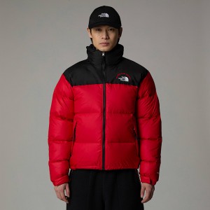 Men The North Face 1996 Retro Nuptse Jackets Red | NF0A58F0D