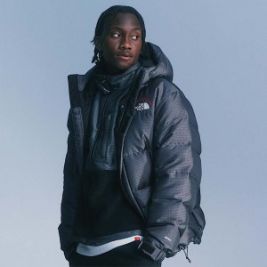 Men The North Face 30th Anniversary Himalayan Parka Grey | NF0A96H6W