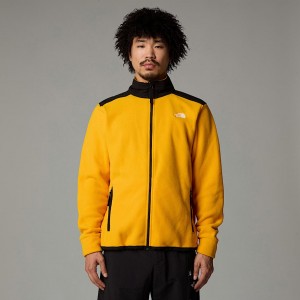 Men The North Face Alpine Polartec® 200 Fleece Jackets Gold | NF0A84T6R