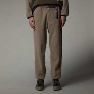 Men The North Face Casual Fleece Pants Beige | NF0A92W6W