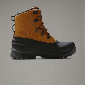 Men The North Face Chilkat V Lace Waterproof Boots Brown | NF0A66H2V