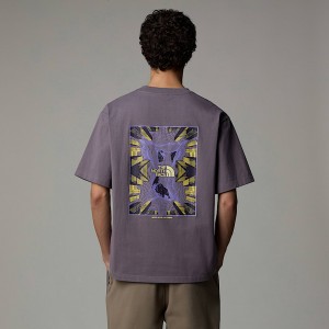 Men The North Face City Graphic T Shirts Grey | NF0A50N5R
