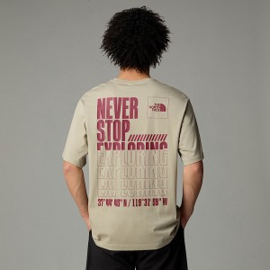 Men The North Face Coordinates T Shirts Grey | NF0A32V9G