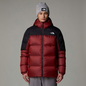 Men The North Face Diablo Down 2.0 Hooded Jackets Red | NF0A21J8C