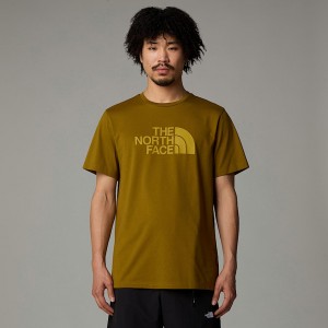 Men The North Face Easy T Shirts Green | NF0A37J1K