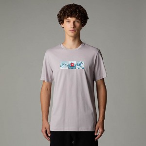 Men The North Face Expedition System Graphic T Shirts Grey | NF0A32B6Y