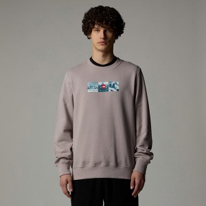 Men The North Face Expedition System Graphic Sweatshirts Grey | NF0A05L7D