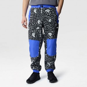 Men The North Face Fleeski Y2K Printed Pants Black | NF0A44S0Z