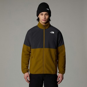 Men The North Face Glacier Heavyweight Full-Zip Fleece Jackets Green | NF0A97R0W