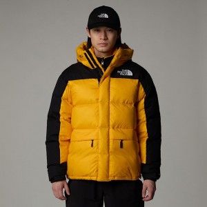 Men The North Face Himalayan Down Parka Gold | NF0A30I4Q