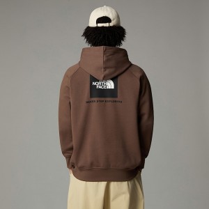 Men The North Face Raglan Redbox Hoodie Brown | NF0A61G6B