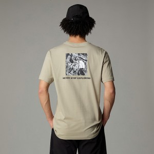 Men The North Face Redbox Graphic T Shirts Beige | NF0A69C0S