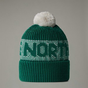 Men The North Face Retro Cabin Beanie Green | NF0A71A7U