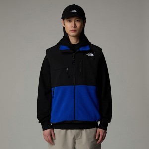 Men The North Face Retro Denali Vest Blue | NF0A25V9T