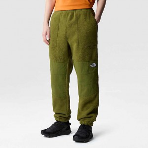 Men The North Face Ripstop Denali Pants Green | NF0A49L4Q