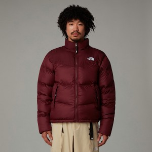 Men The North Face Saikuru Jackets Purple | NF0A24Z4M