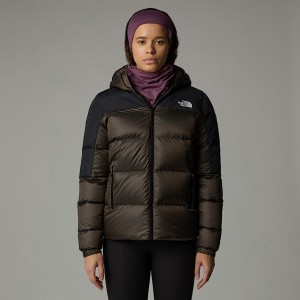 Women The North Face Diablo Down 2.0 Hooded Jackets Brown | NF0A51W7U
