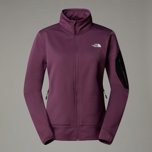 Women The North Face Mistyescape Fleece Jackets Purple | NF0A63N0K