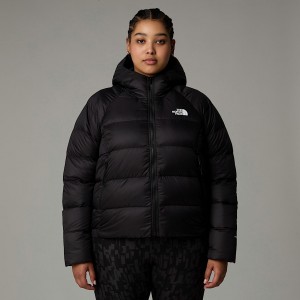 Women The North Face Plus Size Hyalite Down Hooded Jackets Black | NF0A08I8L