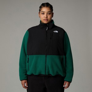 Women The North Face Plus Size Retro Denali Jackets Green | NF0A93P5J
