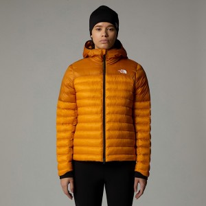 Women The North Face Terra Peak Jackets Gold | NF0A63K4D
