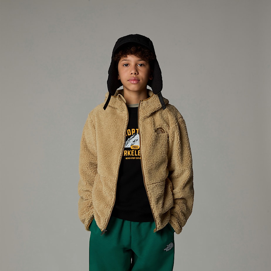 Kids' The North Face Campshire Full-Zip Hoodie Khaki | NF0A61J6A