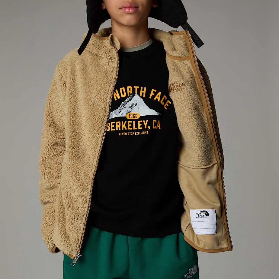 Kids' The North Face Campshire Full-Zip Hoodie Khaki | NF0A61J6A