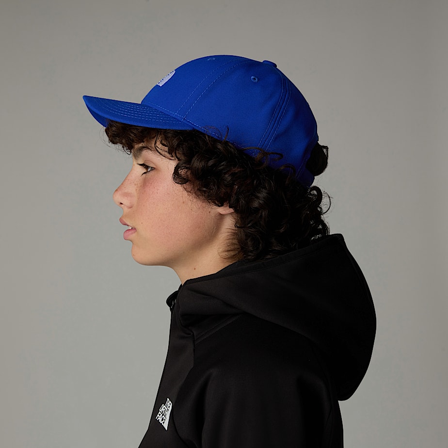 Kids' The North Face Classic Recycled '66 Caps Blue | NF0A08C4P