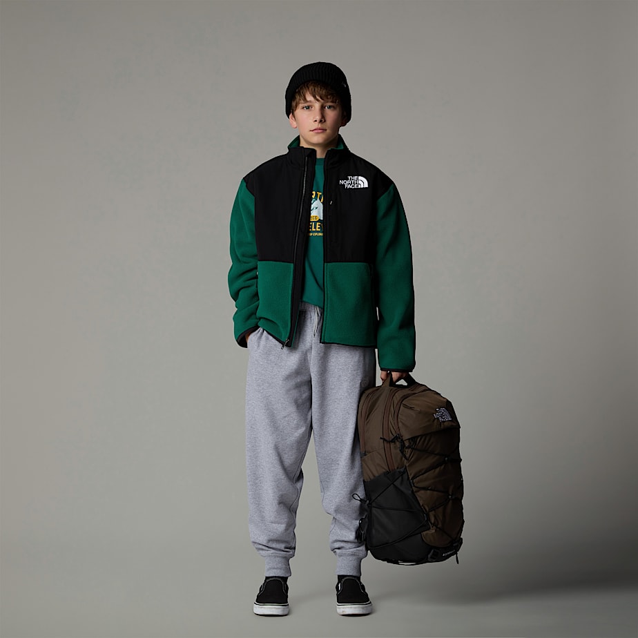 Kids' The North Face Denali Jackets Green | NF0A65L4U
