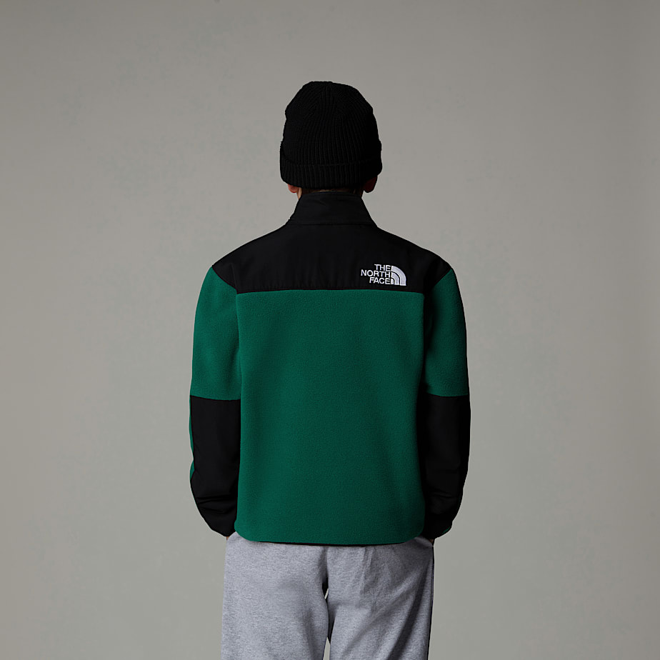 Kids' The North Face Denali Jackets Green | NF0A65L4U