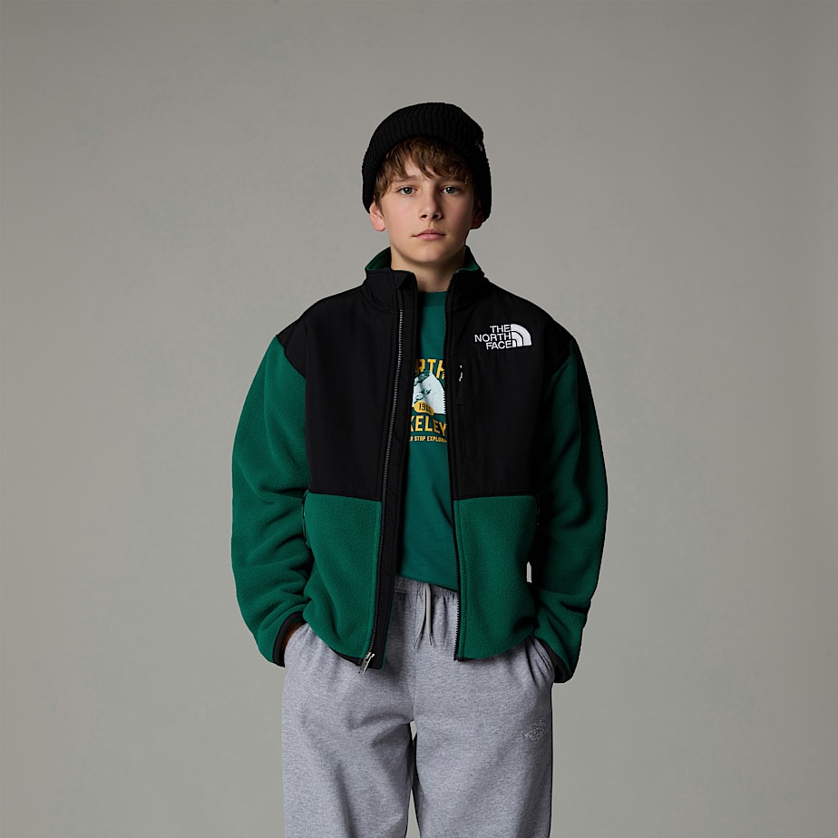 Kids' The North Face Denali Jackets Green | NF0A65L4U