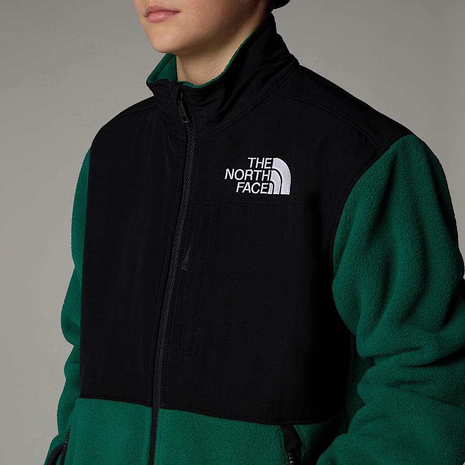 Kids' The North Face Denali Jackets Green | NF0A65L4U