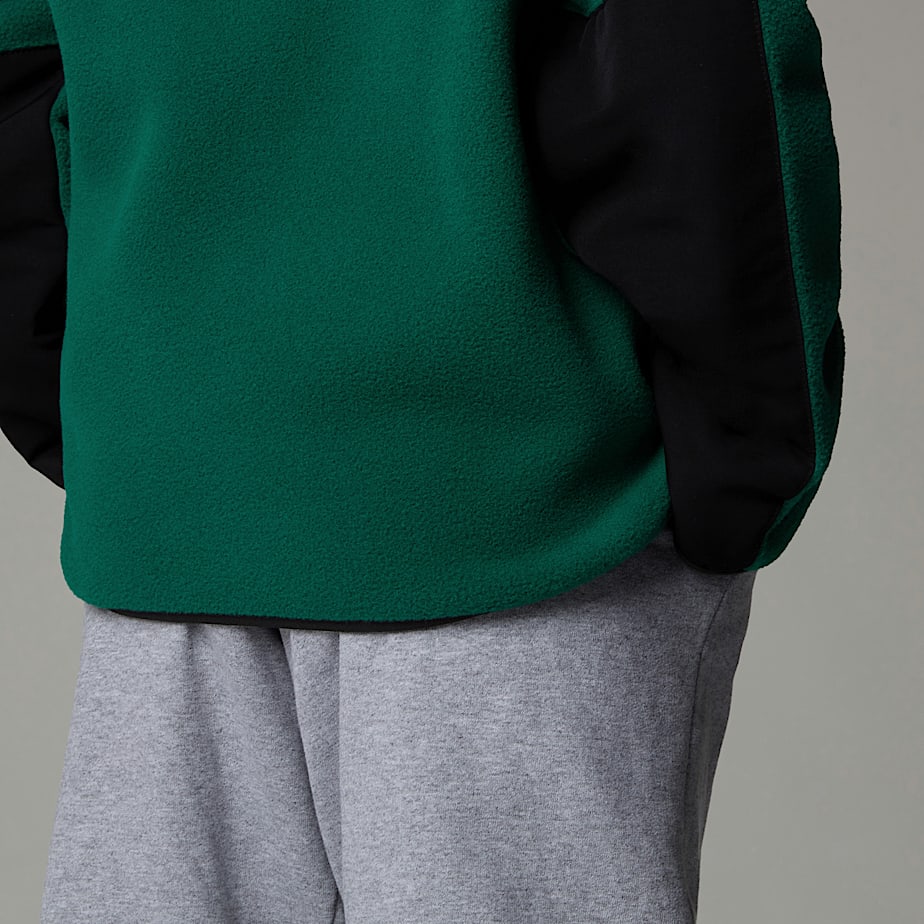Kids' The North Face Denali Jackets Green | NF0A65L4U