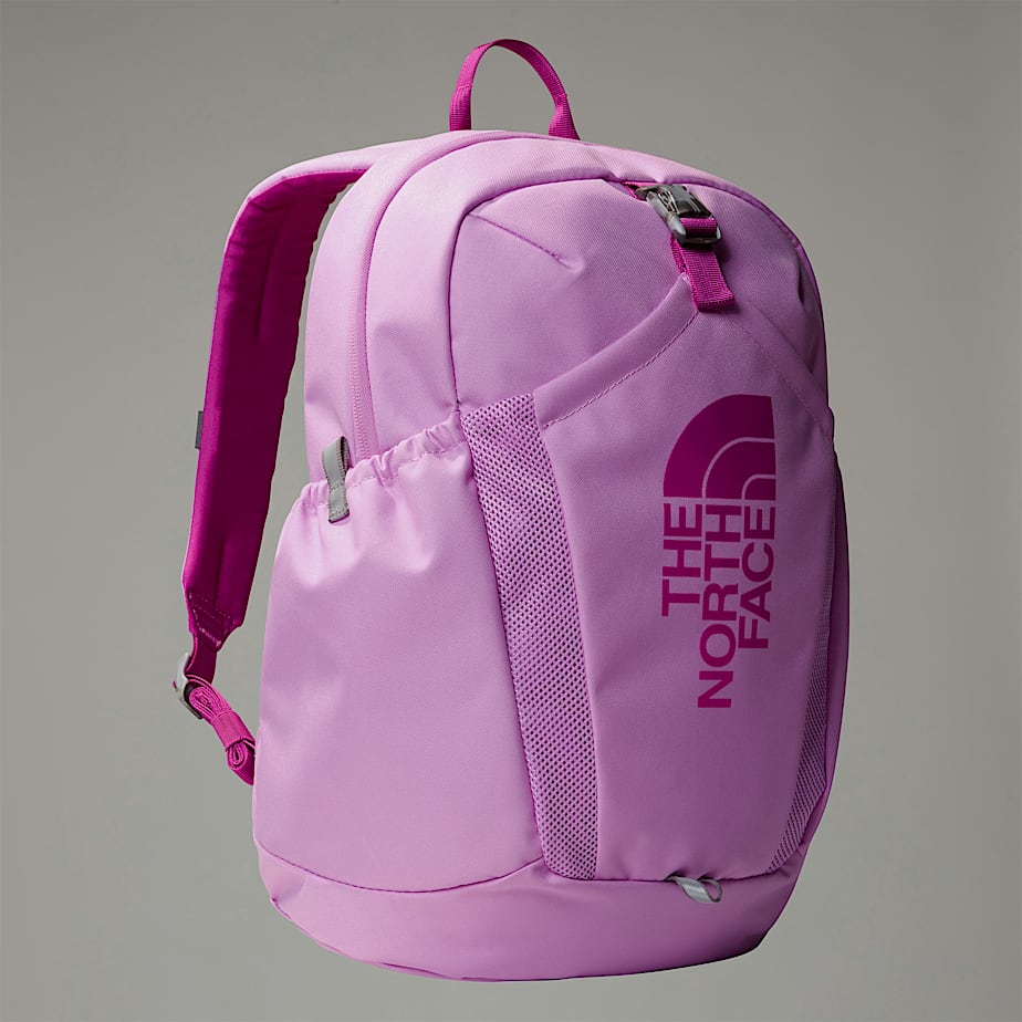 Kids\' The North Face Mini Recon Backpacks Pink | NF0A51Y4X