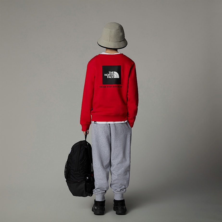 Kids' The North Face Redbox Sweatshirts Red | NF0A66F2G