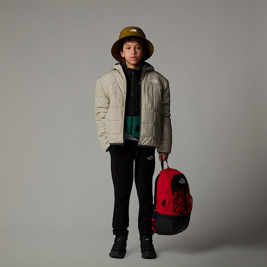 Kids' The North Face Reversible Shasta Full-Zip Hooded Jackets Grey | NF0A71J0Y