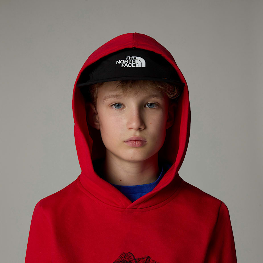 Kids' The North Face Topographic Hoodie Red | NF0A58I9F