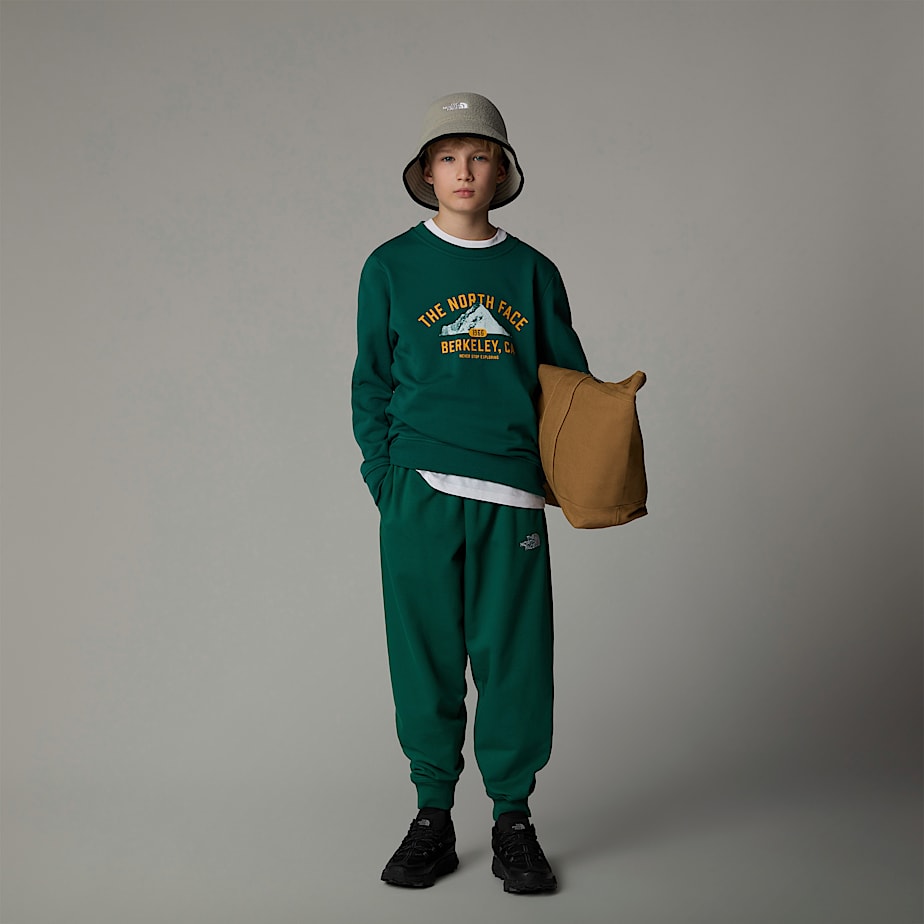 Kids' The North Face Varsity Graphic Relaxed Sweatshirts Green | NF0A82S6Y