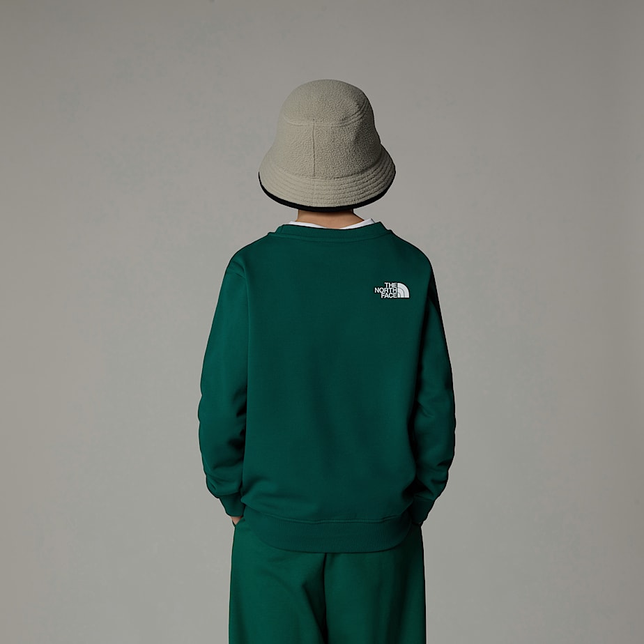 Kids' The North Face Varsity Graphic Relaxed Sweatshirts Green | NF0A82S6Y