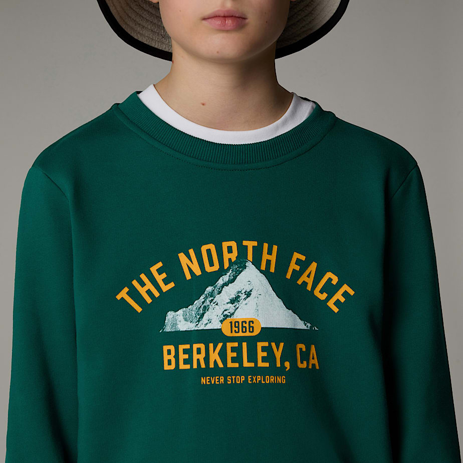 Kids' The North Face Varsity Graphic Relaxed Sweatshirts Green | NF0A82S6Y