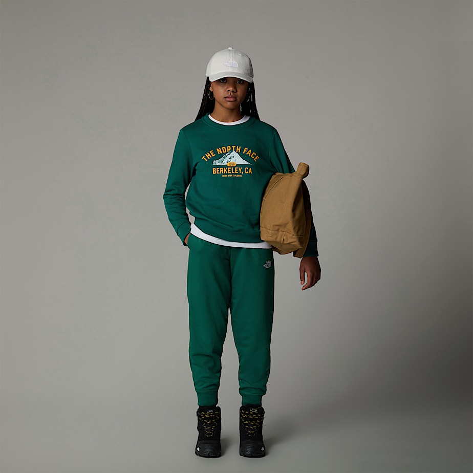 Kids' The North Face Varsity Graphic Relaxed Sweatshirts Green | NF0A82S6Y