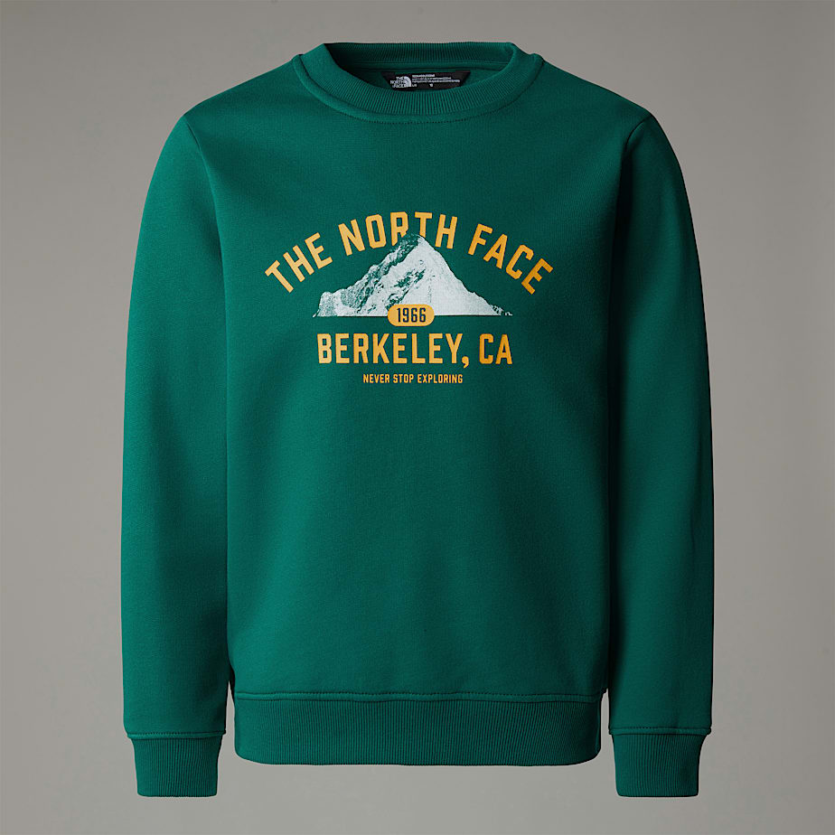 Kids' The North Face Varsity Graphic Relaxed Sweatshirts Green | NF0A82S6Y