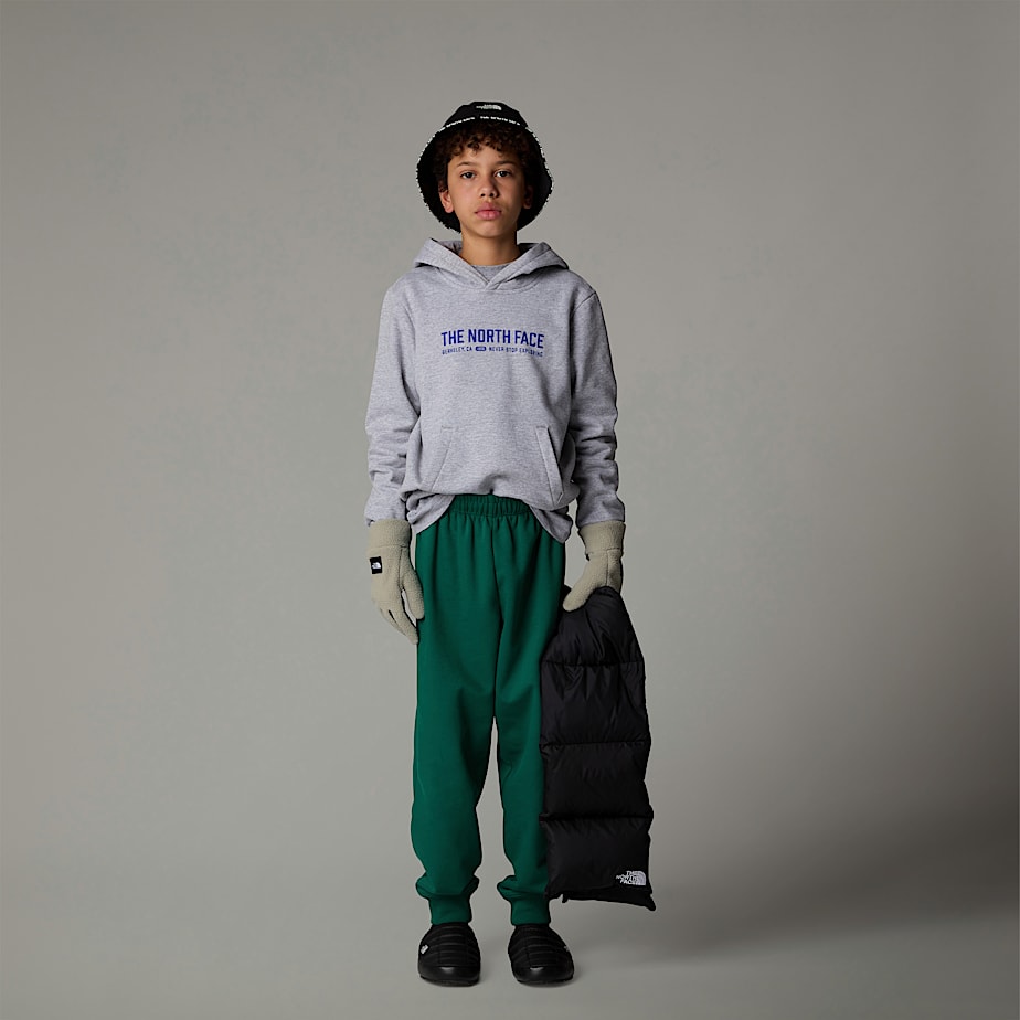 Kids' The North Face Varsity Graphic Relaxed Hoodie Grey | NF0A79S6K